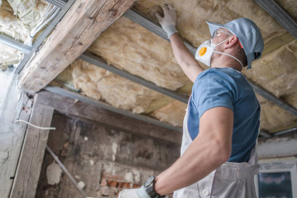 Best Types of Insulation in Dana Point, CA